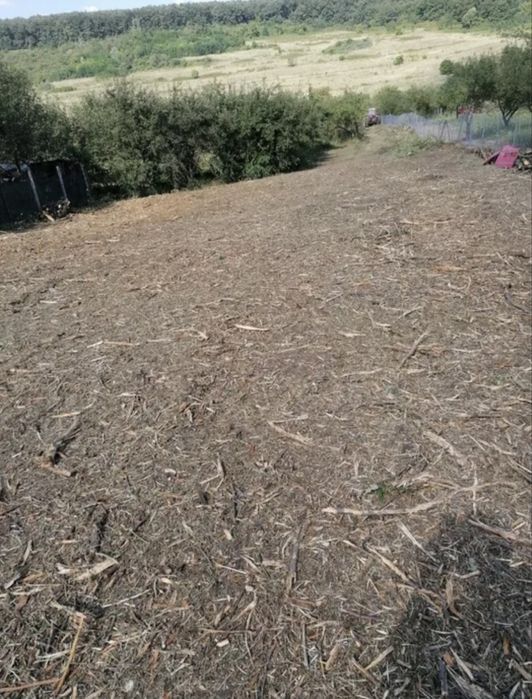 Curatare defrisare terenuri tocat spini