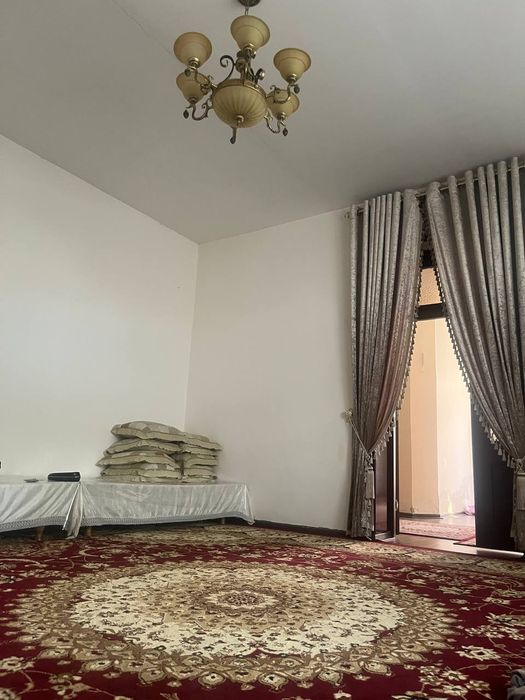 Kotej sotiladi 6-sotuqlik Jomboy tumani Samarqand mahalla