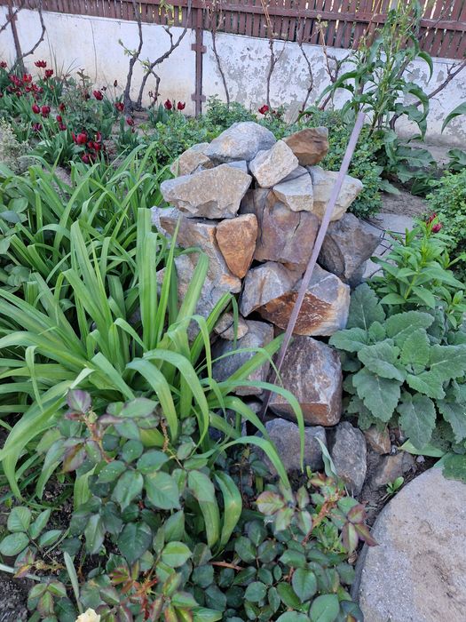 Pietre de rău ornament gradina