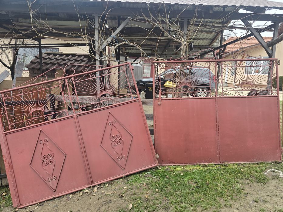 Vând poarta pentru strada