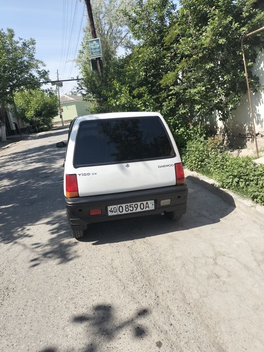 Tico zor xolatta