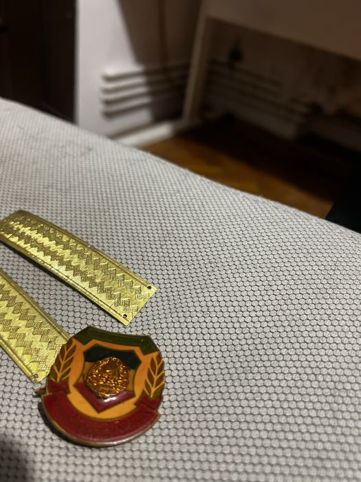 Basca si Bereta BluZa PTAP insigna emblema trese