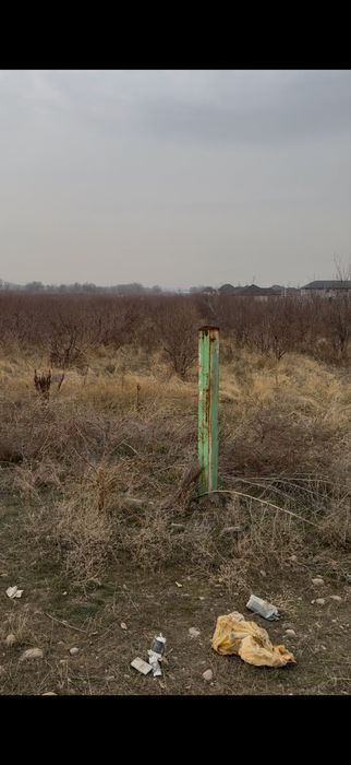 Все вопросы по телефону.