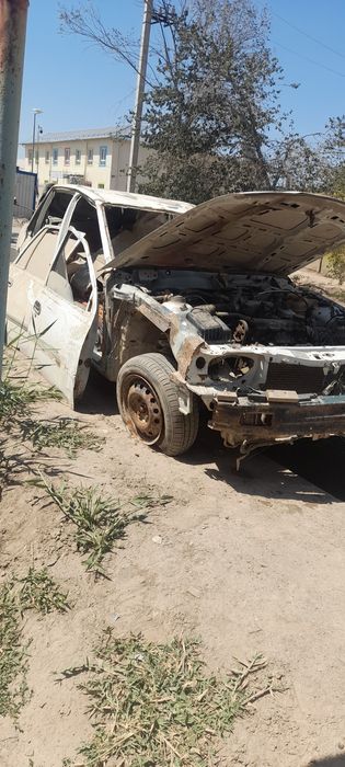 Аварейний нехсия