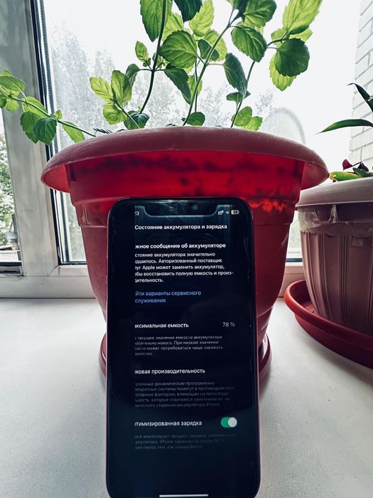 Iphone 11 оригинал