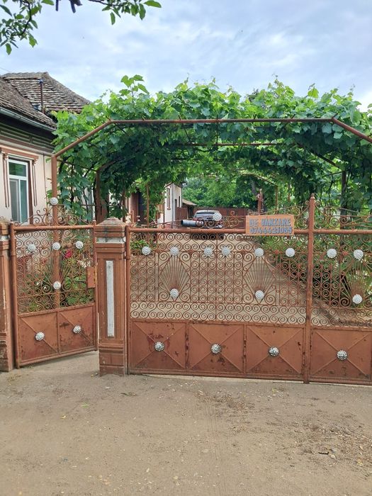 Casa și teren în Comuna Ciupercării Noi
