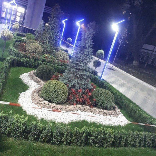 Boğbon xizmati gazon archa gular ekish