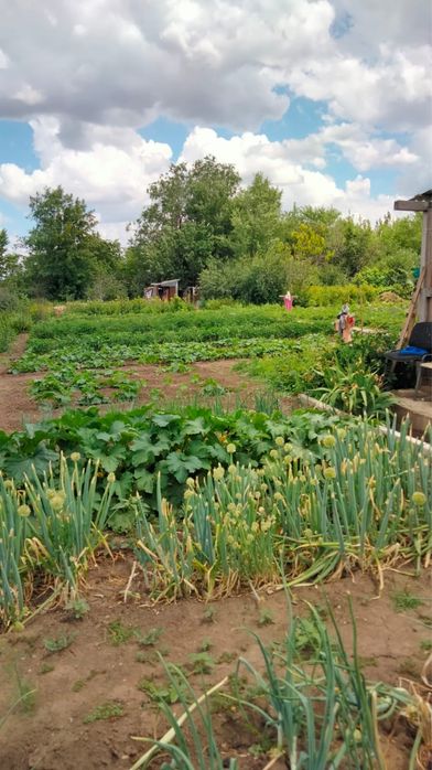 Продам дачу за 7 млн