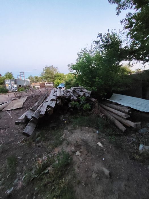 Деревянные столбы,лес