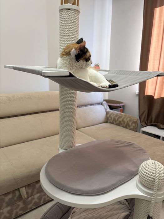 Большой кошачий дом