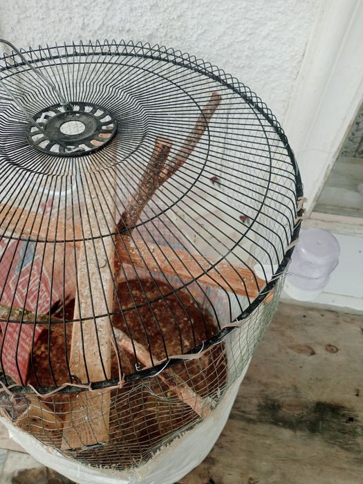 Срочно клетка самодельный для 4 птиц