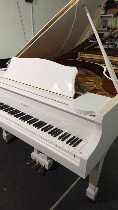 Vand pian Euterpe by C. Bechstein (ca nou)