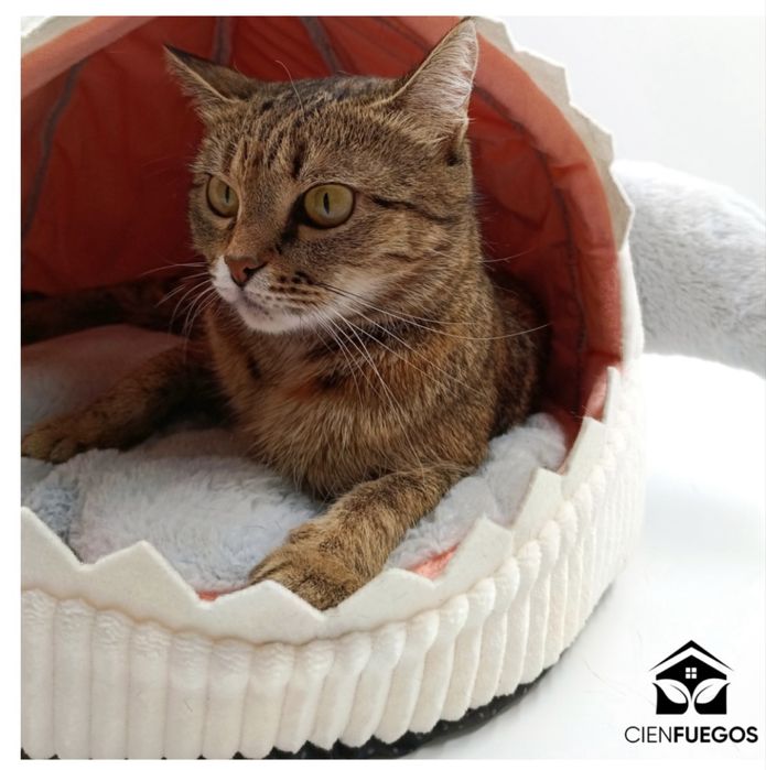 Лежаки, домики для животных