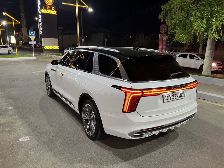 Hongqi 2021 yil 120 Kvt full