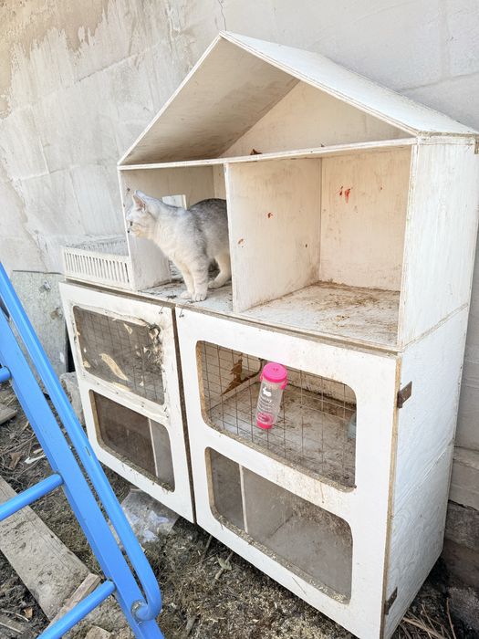 Крольчатник для кроликов