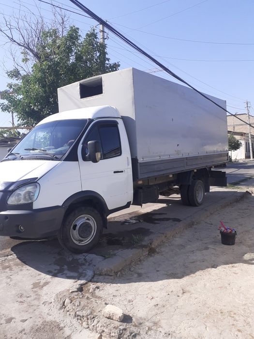 Gazel sotiladi zudlik bilan