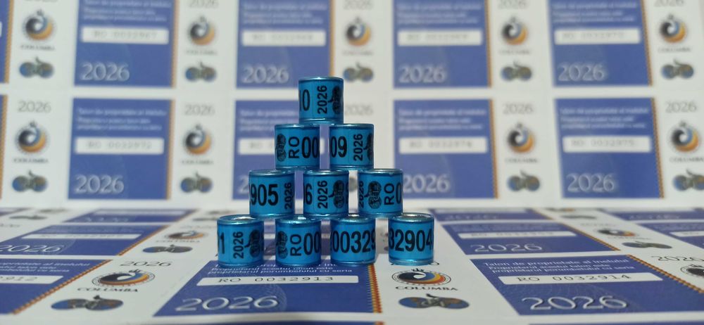 Fci 2026, inele de porumbei
