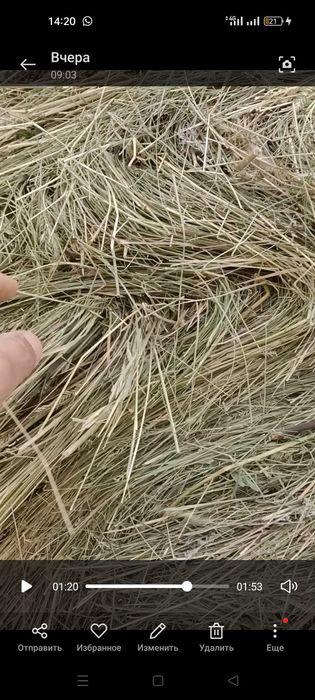 Сено рулон шөп сатылады