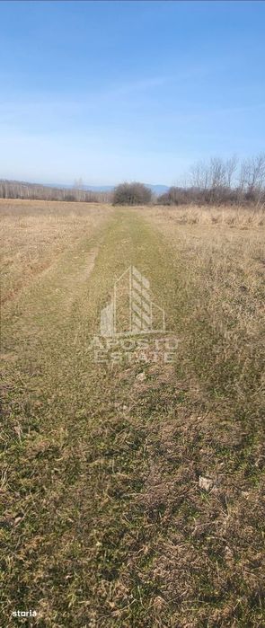 TEREN AGRICOL 1,524 HA, LA DOAR 10.000€ Comision Zero %