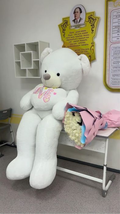 Мишки от 10 тыся тенге срочно