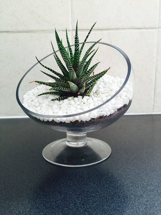 Декоративни камъни за градина.