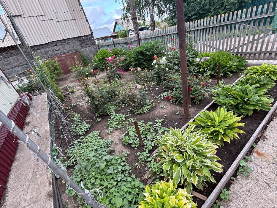 Продам уютный дом в тихом месте