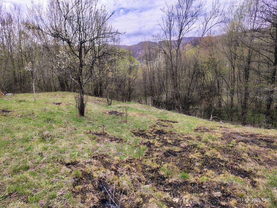 Teren Brădetu, Valea Vâlsanului - Argeș, intravilan!