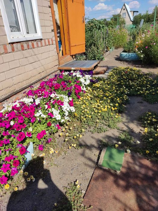 Продам дачу. Ромашка