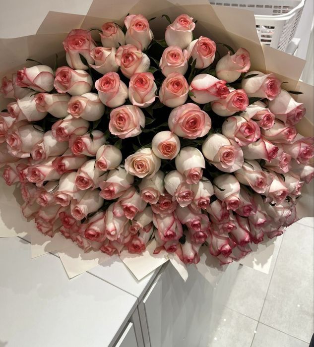 Живой роза свежий 101 штук 17000 к …