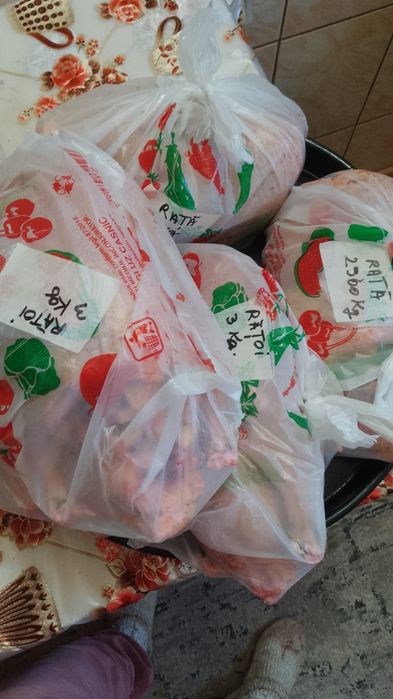 Vând Rațe/Rațoi crescute la curte