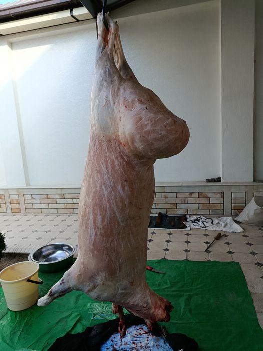 Кассоб- Мясник-QASSOB service