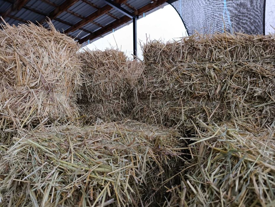 Сено,сено,сено,сено