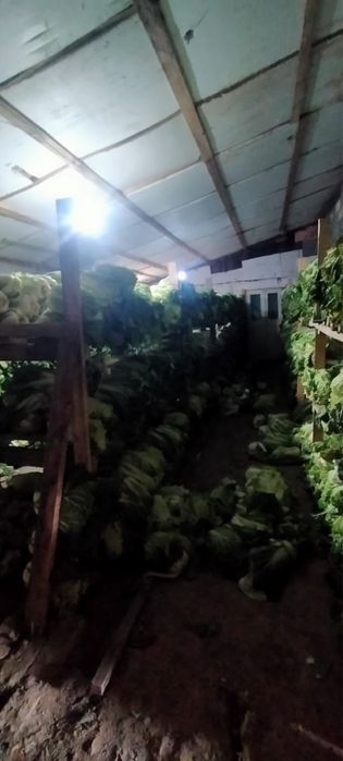 Үй сатылады, Междуреченск