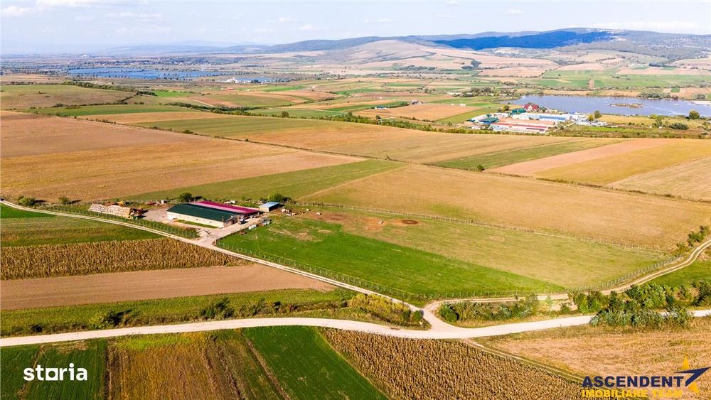 FILM! Zona extinsa, teren mixt,18.000 mp, ideal agro-investitii, Rotba
