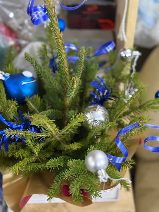 Композиции из Ели