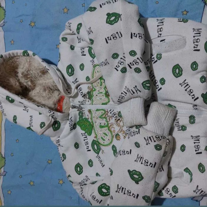 Hanorac cu blana groasa