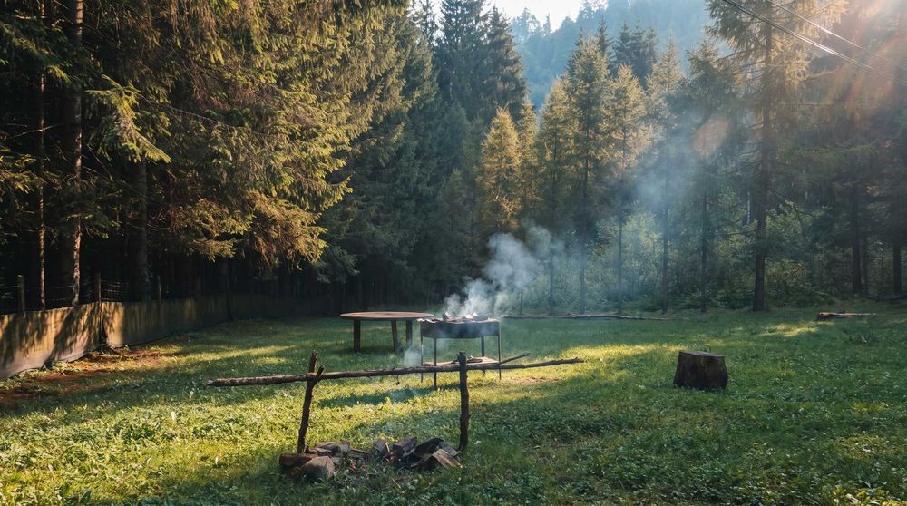 Cabană de vânzare — oaza ta de liniște, ascunsă în inima pădurii