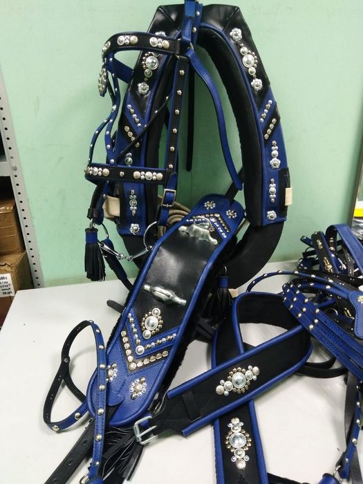 Упряжь парадная для лошади