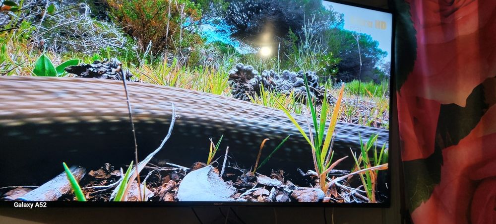 Сони телевизор бравия