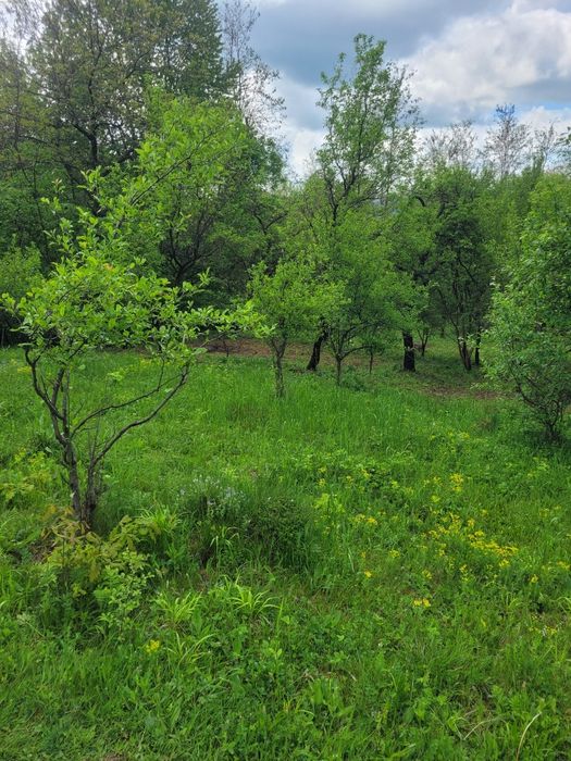 Teren de vanzare Varfuri, Dambovita