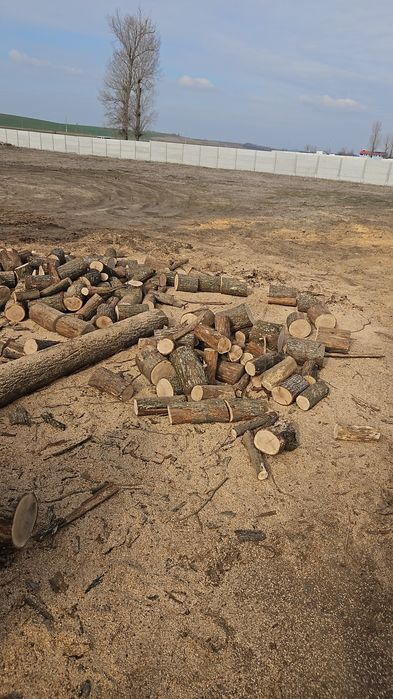 Lemne de foc crapate de stejar uscat