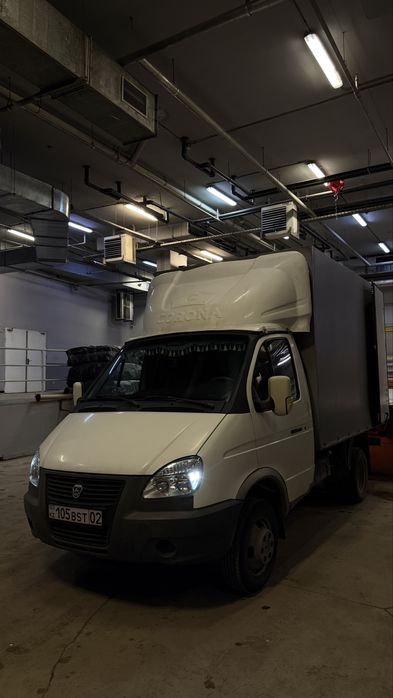 Gazzel в продаже