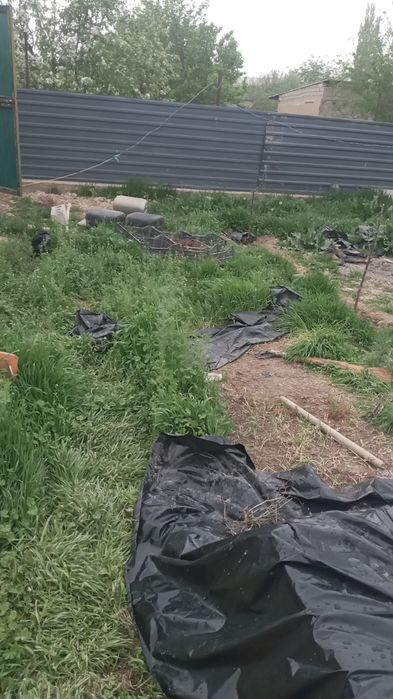 Тош обьл тутзор бекати урикзор махаласида жойлашган дала ховили