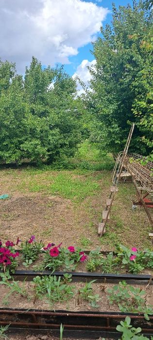 Продаётся дачный участок