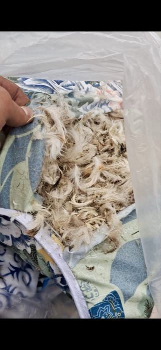 Подушки пух-перо + БЕСПЛАТНЫЙ ПОДАРОК