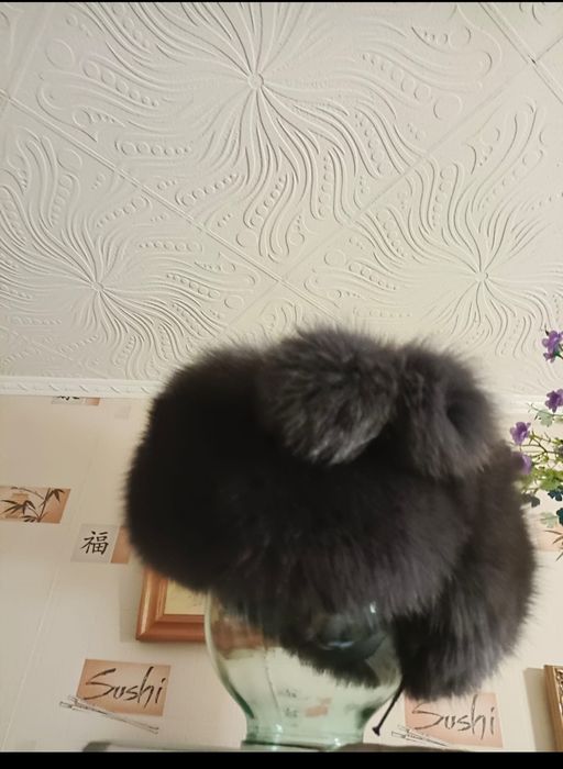 Шапка писцовая почти новая