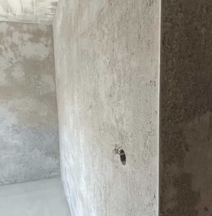 Ofer servici în construcții și în curățenie