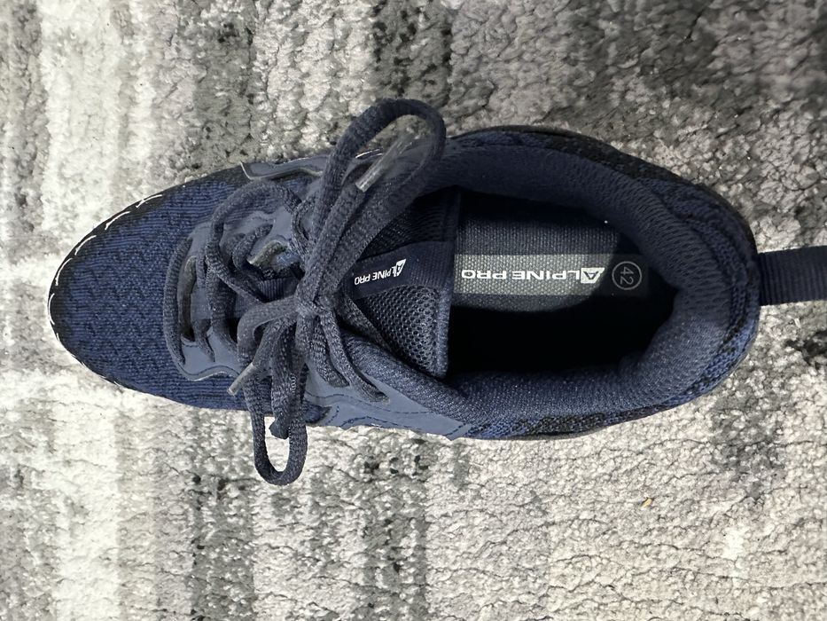 Adidasi sport Alpine Pro