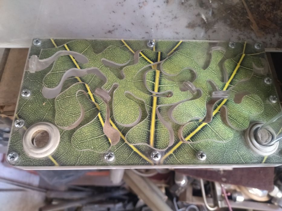 Муравьиная ферма