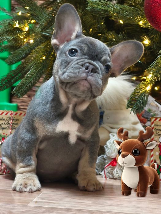 Шикарный мальчик